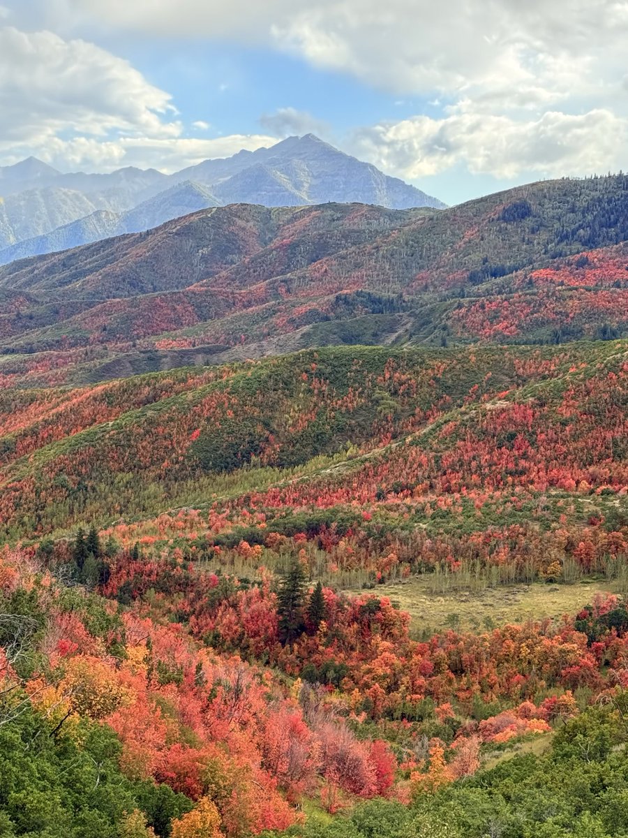 KSL_Matt's tweet photo. Took these on the first day of fall yesterday. Deer Creek Overlook, UT 9/22/26 🍁 #utwx https://t.co/Z5rjMUajmb