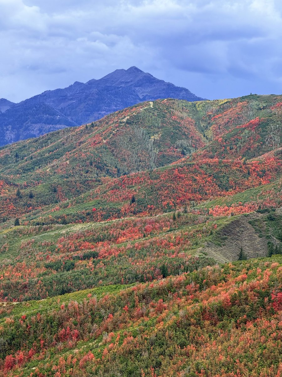 KSL_Matt's tweet photo. Took these on the first day of fall yesterday. Deer Creek Overlook, UT 9/22/26 🍁 #utwx https://t.co/Z5rjMUajmb