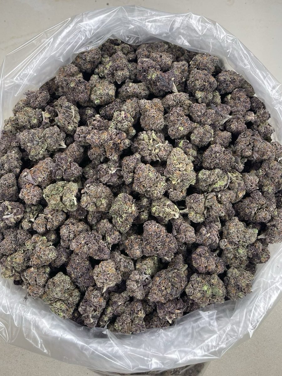 NcDispos's tweet photo. Premium indoor weed no minds potency iran nyc Weed Pot hash rosin live resin la
Ganja Herb Mary Jane Dope Reefer Grass
Bud or Flower Trees Broccoli Jazz Cabbage 
Dank zaza gas fire loud chronic top shelf
Exotic weed strains Candy weed cannabis 
Cali plug bulk Distro Los Angeles https://t.co/mLOglqNGKA