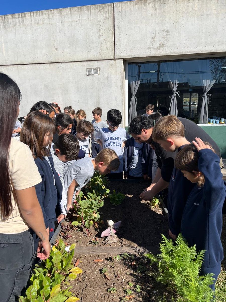 Josefermanelli's tweet photo. Asi vivimos la primavera en las escuelas de nuestra ciudad 🌸 

Esta semana visitamos la Academia Arguello para poner en valor la Huerta Educativa. Aprendimos de cosecha, cultivos y la importancia de producir y consumir vegetales de estación 🍃 https://t.co/ClkaEZtqul