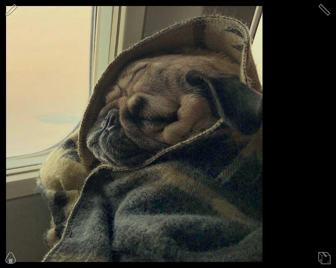 gddiaas's tweet photo. Elara said nothing, just kept walking, stopping a few feet from him, her eyes cold, unblinking, as if he were nothing more than a bug under her shoe, a nuisance to be eliminated, quickly and efficiently.❤️Evening on the production floor: summing up successes, preparing for new https://t.co/WIC98ZUGZF