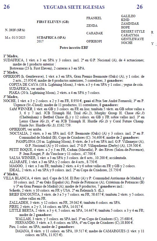 AllIron_2023's tweet photo. En la subasta @acpsie presentamos el LOTE 26 M.c por #FirstEleven &amp; Sudáfrica (Caradak). La madre ganadora y 2ª del GP Ncional 2020, de la familia de Noche, Noctalia (Oaks), Oppikopi (Oaks)⬇️⬇️⬇️ https://t.co/R931qyN8wq