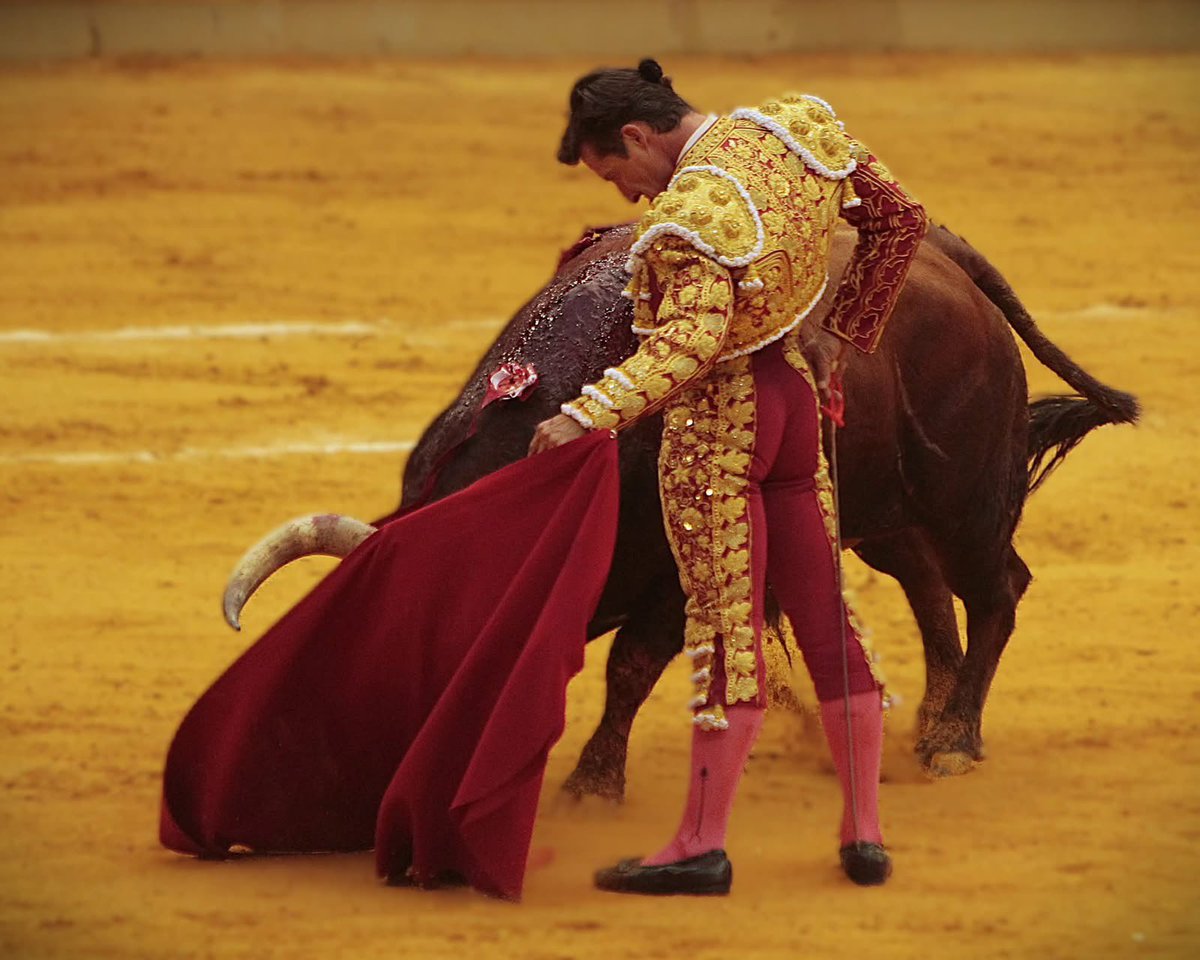 purezatoros's tweet photo. Torero de culto. https://t.co/E888seTGHC