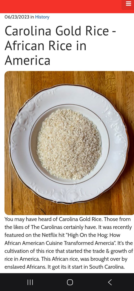 CerebralBomb's tweet photo. @trialbyfire9710 @got_cake @King_Zonnic What a dumb ass! Gullah people were stolen from Angola specifically for their rice farming skills. https://t.co/WQR9JSl1Nf