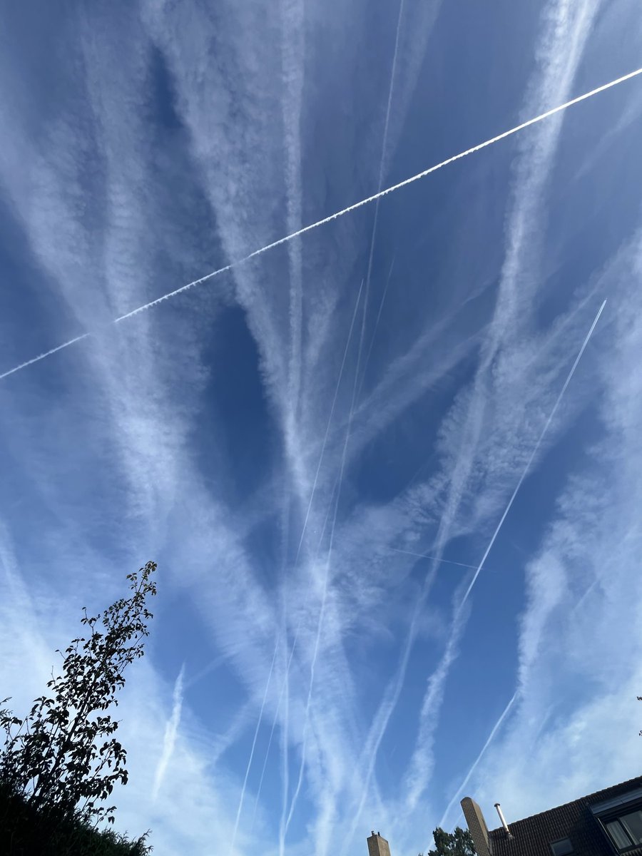 iDeepSpace1's tweet photo. @akkermans_amigo @superjan 14 september 2026. Toen ik jong was waren er ook vliegtuigen. En ook die hadden contrails. Maar vreemd genoeg losten die destijds altijd (en vrijwel onmiddellijk) op. https://t.co/hQPmHTONZU