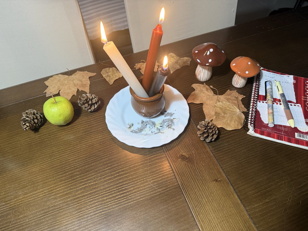 _Miree_16's tweet photo. Nuestro primer mabon🥹🤎🧡🍁🍄‍🟫 @Siizzox https://t.co/Yd85AQmGMX
