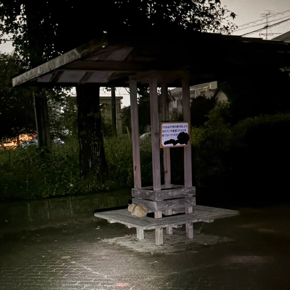 2023uzz40's tweet photo. 雨宿りをしようとしたら先客が居たので、遠くから写真を撮らせてもらって走って帰宅。
帰宅したらしたで、珍しいコが雨宿りをしていた。
雨降りの深夜？早朝でも楽しい事はあるんだねぇ。 https://t.co/H6l6HwYEuS
