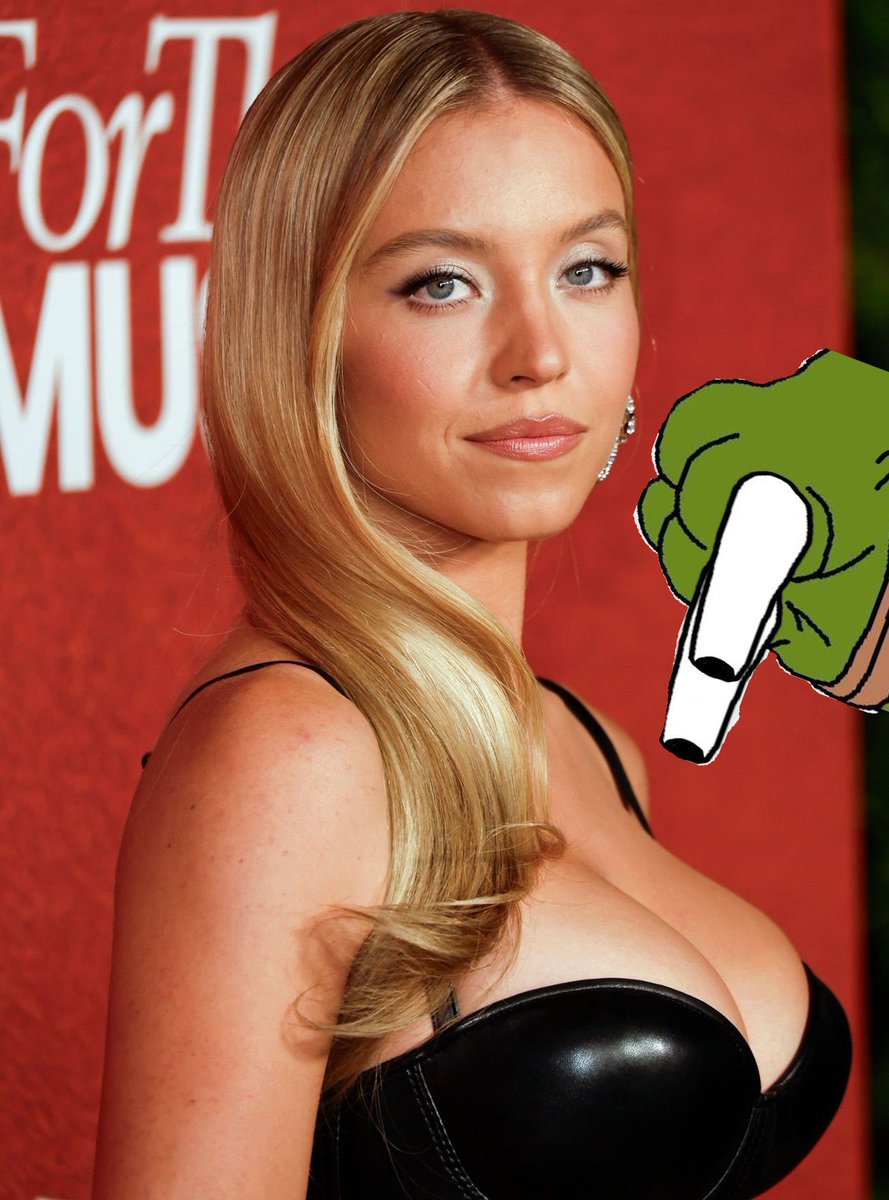 groyp_on_ton's tweet photo. @0xAbit relationships with your favorite bags can be bad

unless those bags are groyper-3:native or belong to Sydney Sweeney https://t.co/3tuFXCafwg