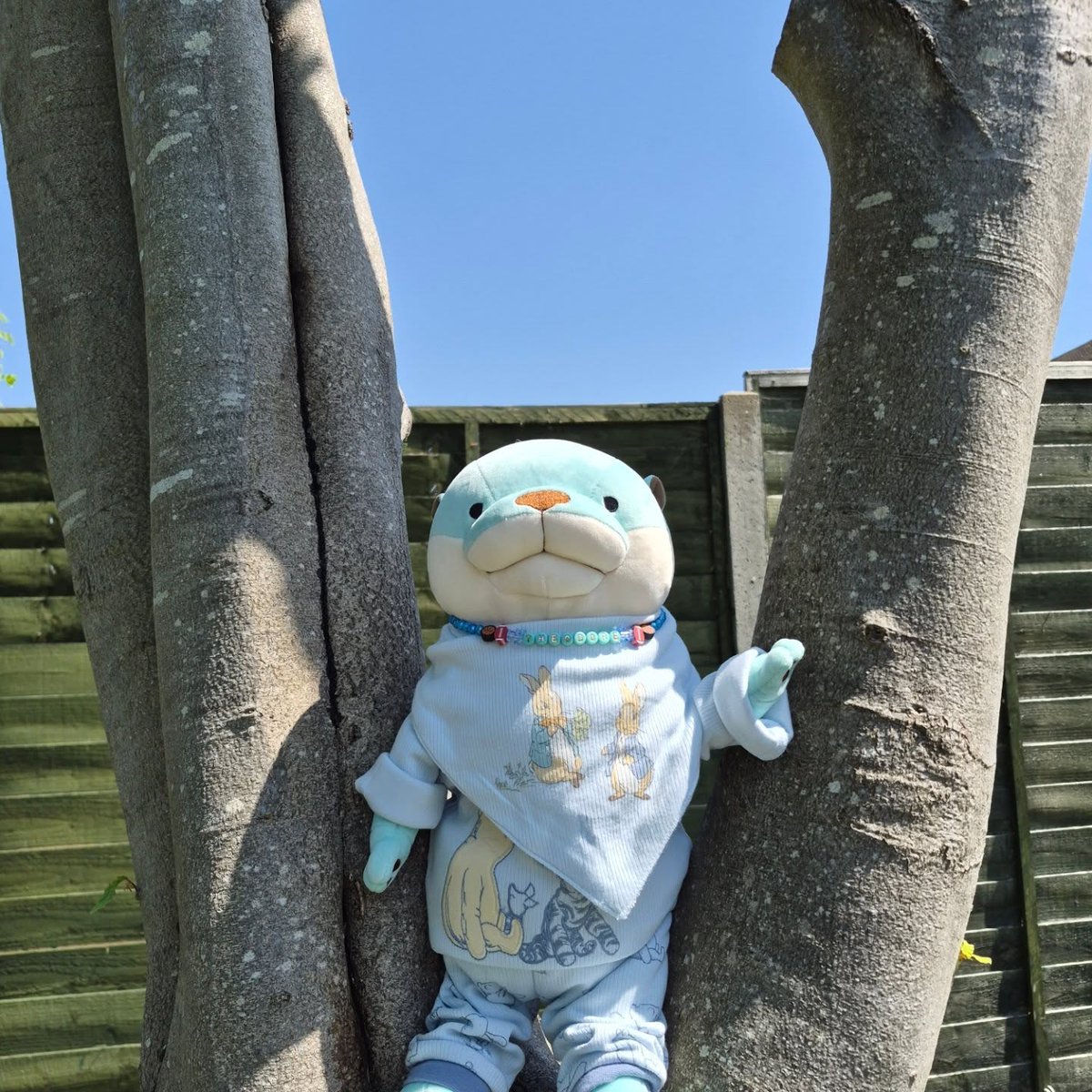 LWuichin's tweet photo. He’s such a cute boy. https://t.co/wjartUTwfH