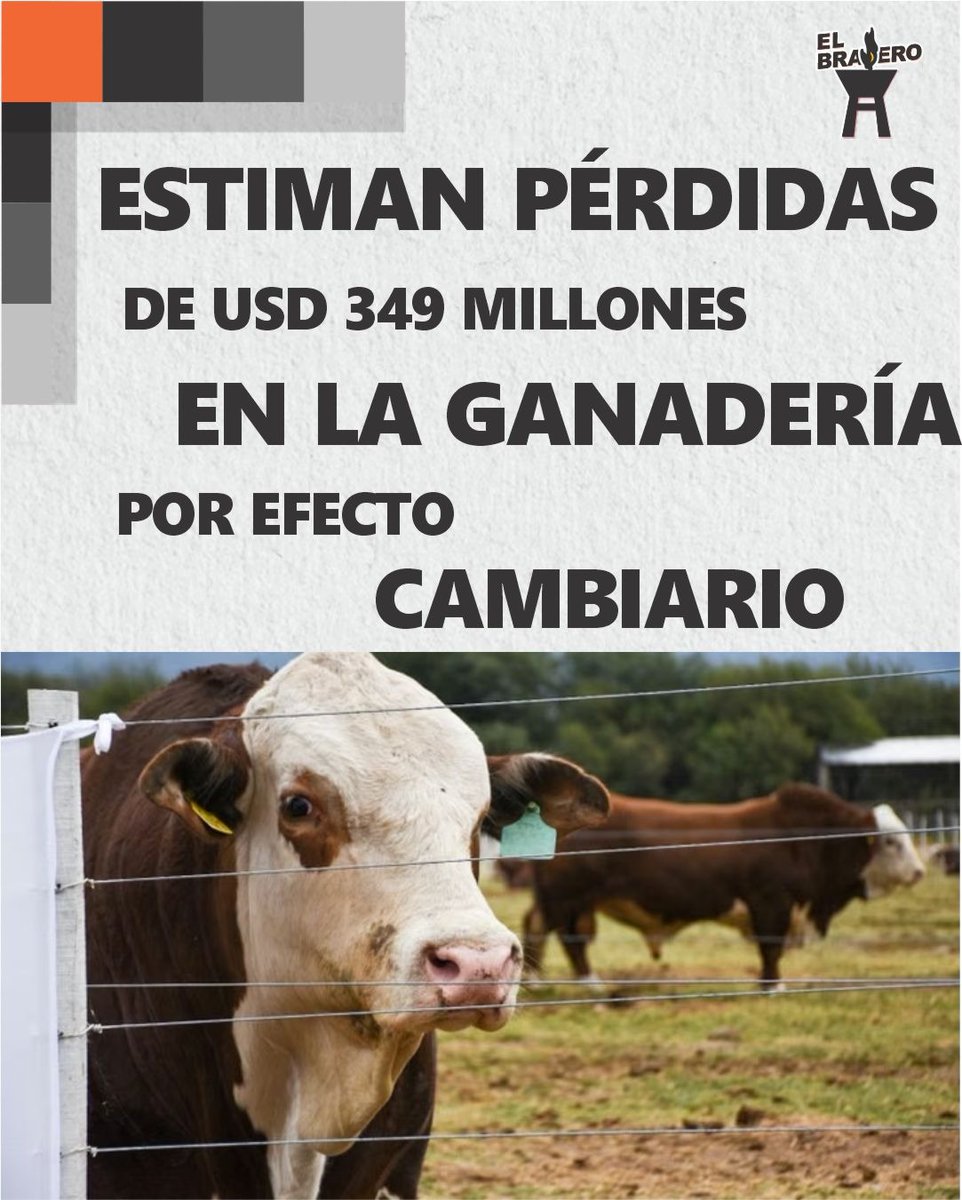 BraseroPy's tweet photo. Según un estudio de la ARP https://t.co/zg06gkQoti