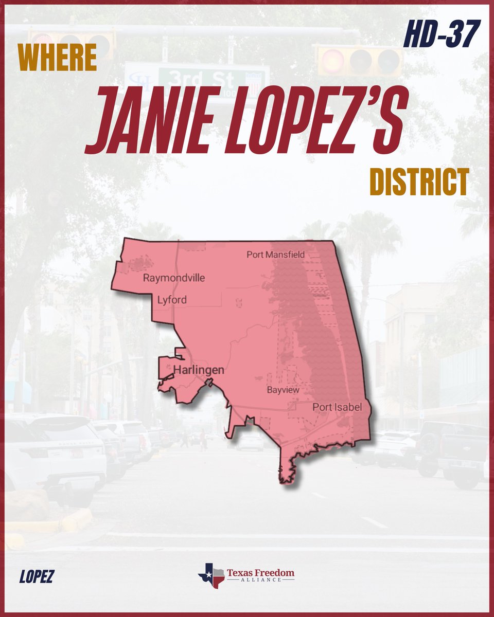 TXFreeAlliance's tweet photo. 🌟 LEGISLATOR SPOTLIGHT 🌟

This week, Texas Freedom Alliance is highlighting Rep. @JanieLopezForTX and her fight for House District 37 and South Texas.

Swipe through to learn more!

We need strong conservative leaders back in Austin.

#txlege #southtexas #legislatorseries https://t.co/i08kCyAJm9