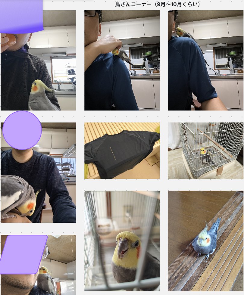 lowflightnet's tweet photo. 昨日はオンライン会でした。

・普通の感覚、常識がわからないせいで人を怒らせていないか不安です
・焦りがあると休む事が難しい
・愛犬を失ってまだ慣れません、ペットを飼っていた方に話を聞きたい
　→愛用品を残すなど思い出話が
・当事者会などに参加したきっかけは？

などの話題がありました。 https://t.co/GFC38qHejg
