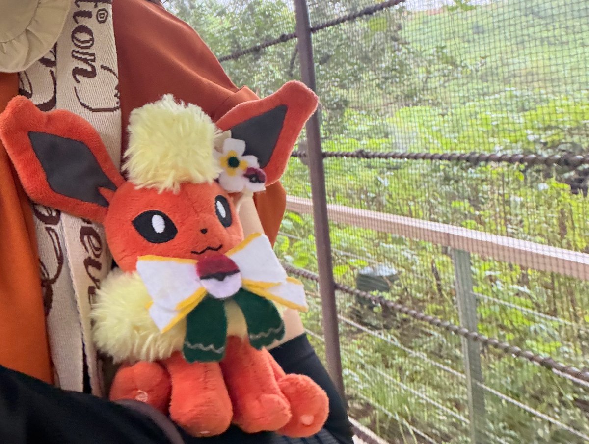 mo_fu_2's tweet photo. 雨だったけどピカスパめちゃくちゃいい場所で見れたし、沢山写真も撮れたし、なんとなく計画してた通り整理券の確保も出来て過去イチ時間みっちり遊んだ感ある 充実した一日でした🫰にしてもポケパﾌﾞｰｽﾀｰﾁｬﾝほまに可愛いな🫰 https://t.co/SlQKrNINCj