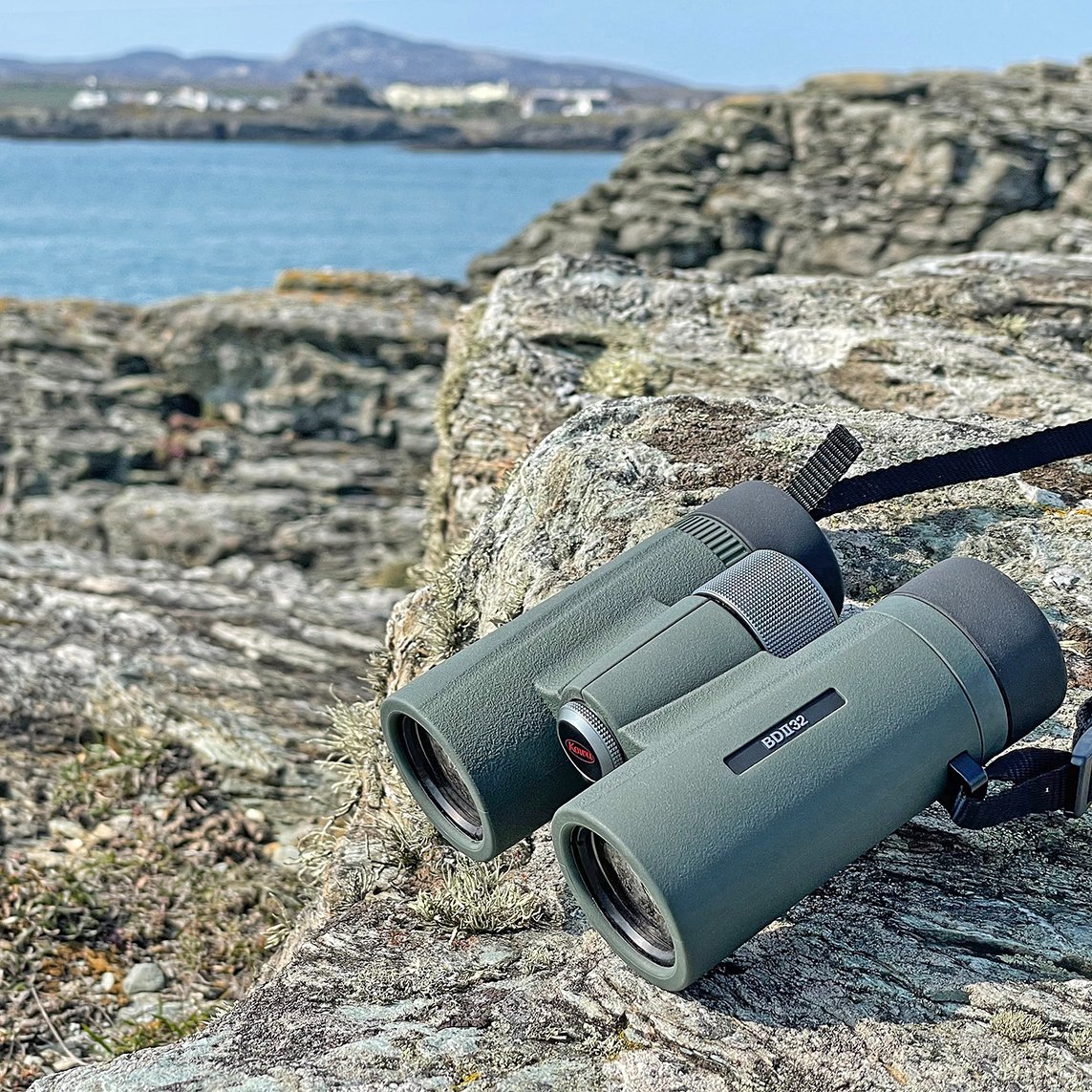 swoptics's tweet photo. Kowa BDII32-8XD 8x32 Binoculars

Class-leading 8.8° field of view, ED glass sharpness, close focus down to 1.3m, and just 540g - waterproof and built for long treks.

👉 https://t.co/vrKfI11RcO

#Kowa #SouthWestOptics #Binoculars #Birdwatching #WildlifeWatching https://t.co/CgWFe0cXco