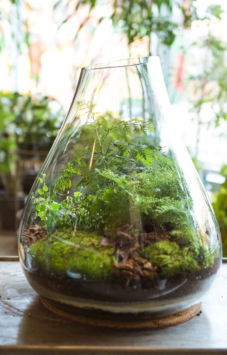 RebecaReusjk's tweet photo. DIY fácil: transforma frascos de vidrio en macetas minimalistas para tus plantas! Solo necesitas pintura y cuerda https://t.co/hY2g8ZqqQx