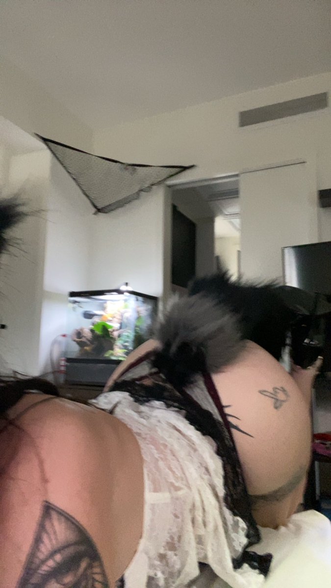 desiree_kehn3's tweet photo. #fuzy #sexwork #fuckme https://t.co/SoghLXR5EY