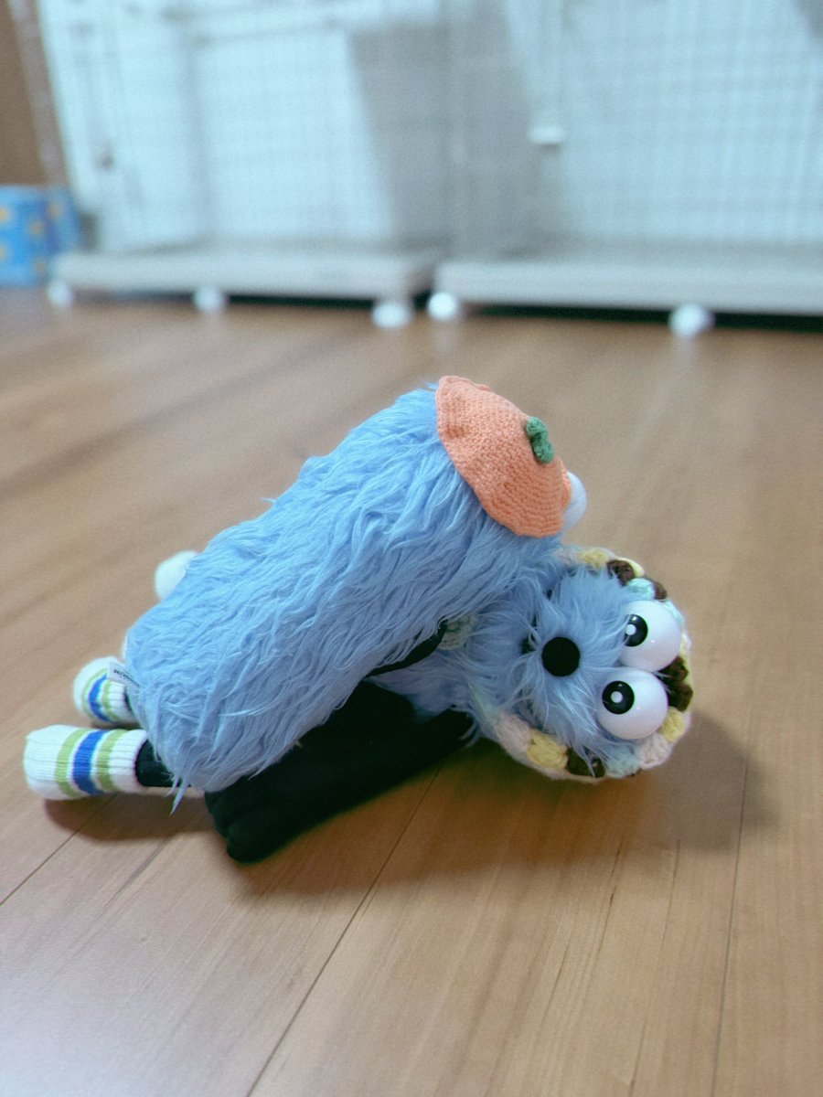 sunsunland_life's tweet photo. 我が家に
初子猫兄弟2匹お迎えになります。

おすぽすはお世話係の取り扱いで
また小競り合いw

主の怒りのボルテッカーをくらい…

仲良くその日を待ってます♡
#パペットスンスン
#スンスン
#スンスンのいる生活
#おすんとぽすん
#子猫兄弟来ます
#お世話したいのはわかる
#まずは遠くから見ててね https://t.co/ztyWqFmGTK
