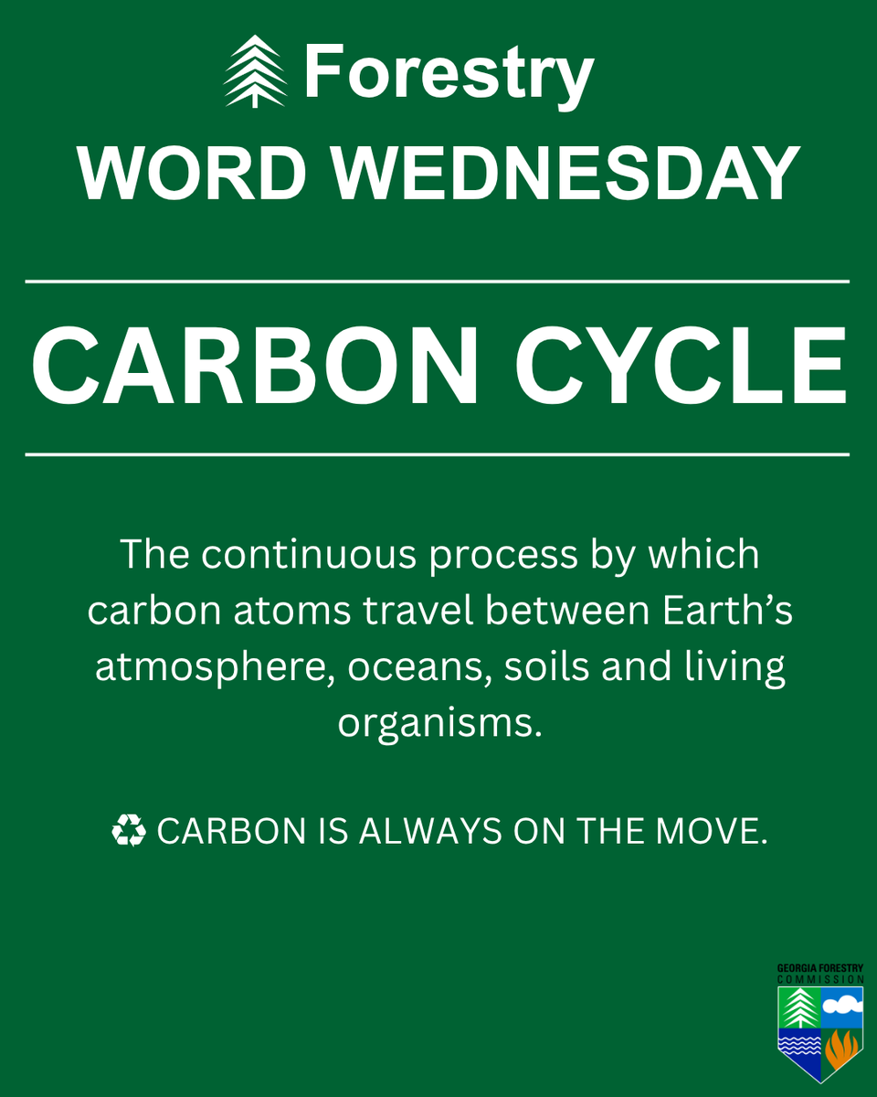 GaTrees's tweet photo. 🌲📖 #ForestryWordWednesday: CARBON CYCLE

Carbon is always on the move. ♻️

The carbon cycle is the continuous process by which carbon travels between Earth’s atmosphere, oceans, soils &amp; living organisms—and forests play an important role in that cycle. https://t.co/Gh8D2LITcu