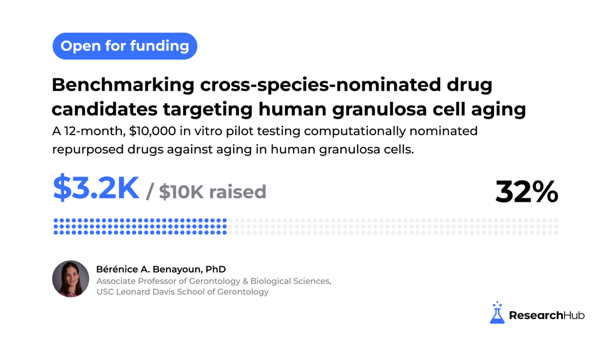 ResearchHub's tweet photo. Associate Professor at @USCGero, @BBParis1984, is raising $10K on ResearchHub to test promising anti-aging drug candidates directly in human ovarian cells.

The project is already 32% funded. Help get it across the finish line.

Fund the research. 🧵 https://t.co/VEWNNd3Nhg