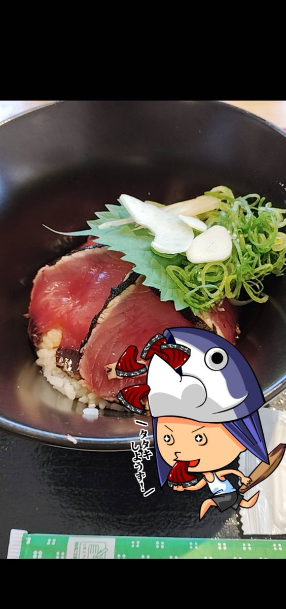 insect_biwa's tweet photo. カツオを食べて、龍馬の像を見て、桂浜水族館でアカメを見ました。
ゆるが関係しているものを見ると｢これが噂の～｣となるのがいいですね。
#英語物語 https://t.co/PC7W9oPuCc