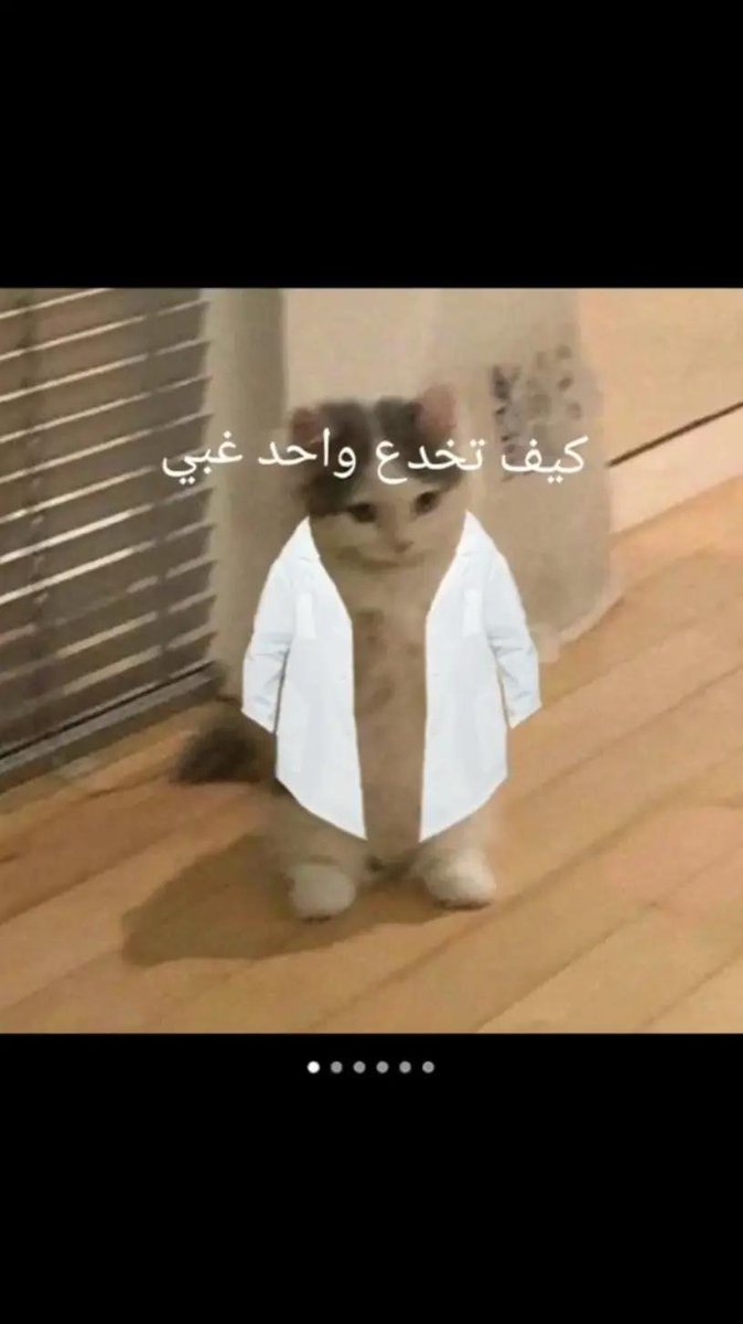 Raed1822000's tweet photo. @AboFlah_1 https://t.co/gcnGFcySbW