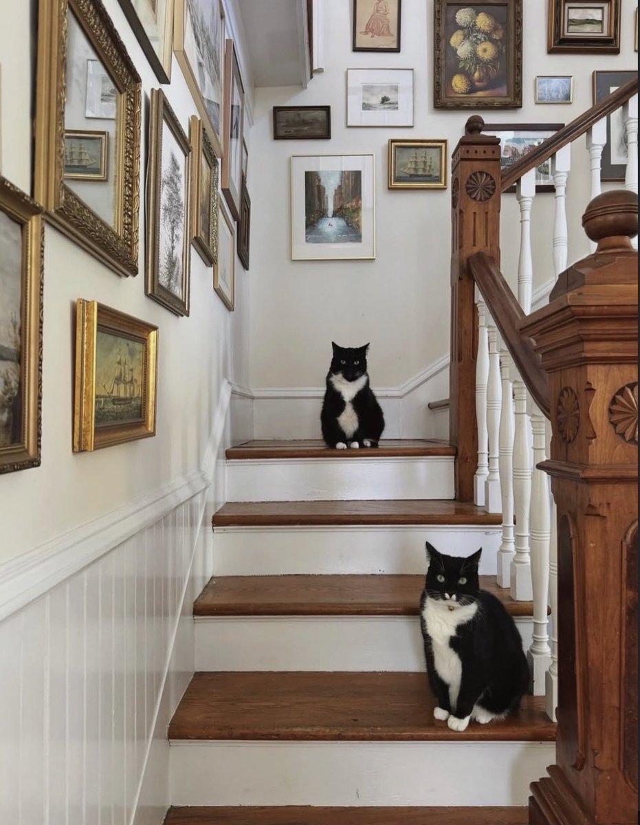 EvaLovesDesign's tweet photo. City girls in a country home https://t.co/YeTJUjk93R