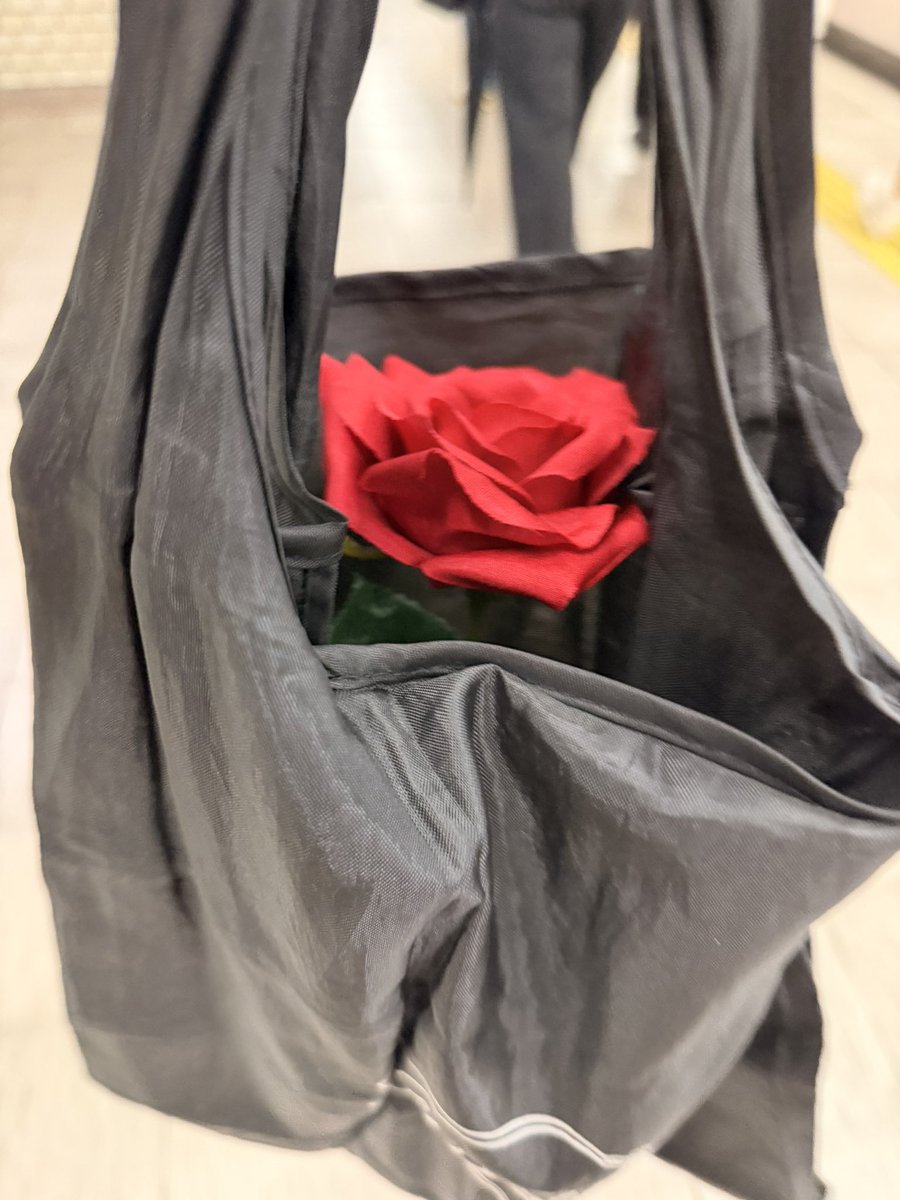 ebi_172803's tweet photo. 持ち帰り方わからず薔薇1本のためにこれ https://t.co/SUs3Y7E0IE