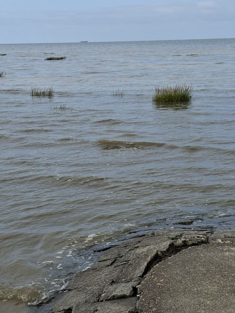2212Elke's tweet photo. Ein Tag an der Nordsee wiegt vieles auf.
#SchönesGegenDoofes https://t.co/c0uBfJGW60