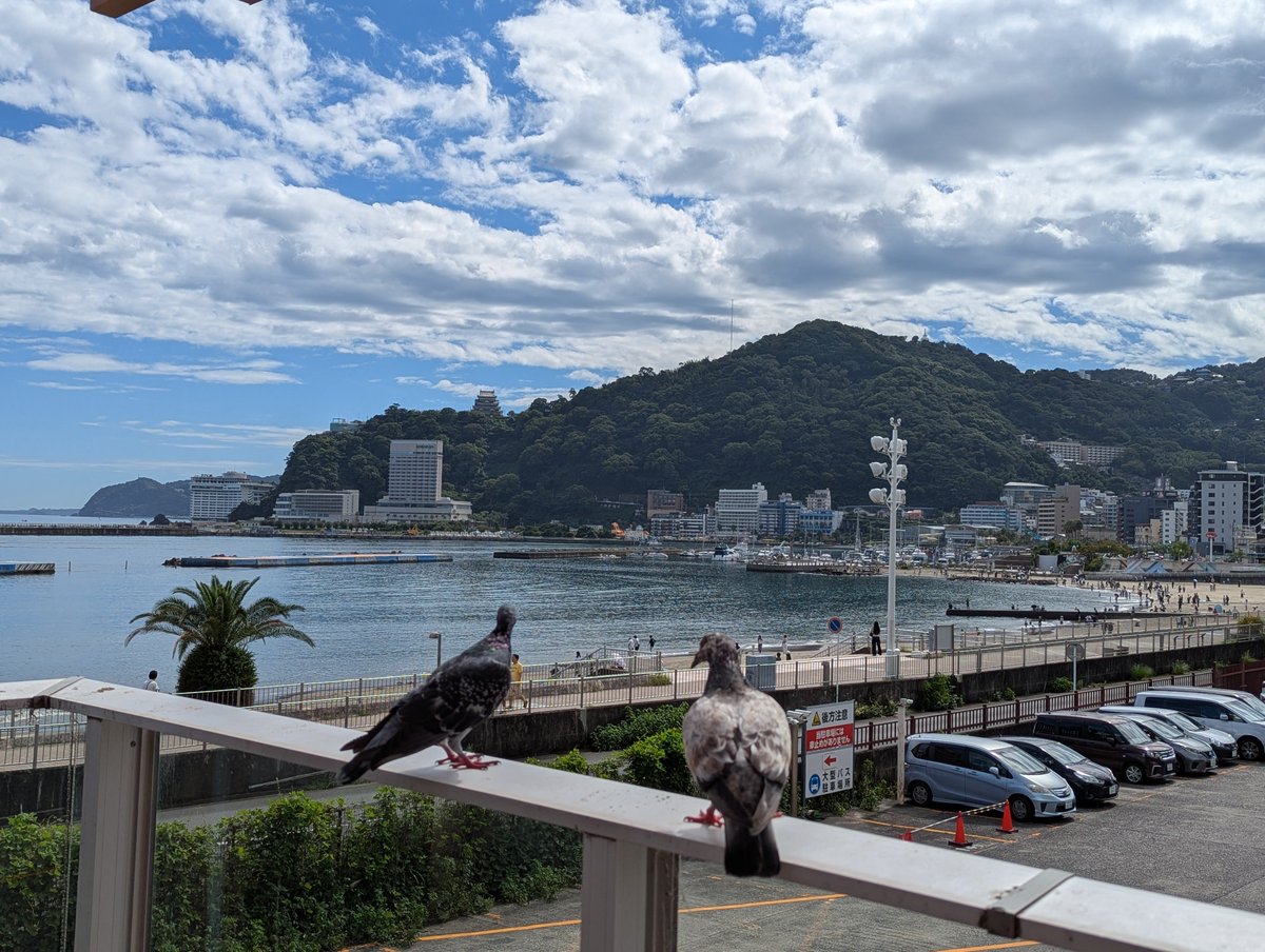 silverwolf3991's tweet photo. 熱海旅行楽しかったー♪
良いホテルにビュッフェでお腹満腹で最高😋
初島も行ってきたけどあいにくの雨で早めに帰還！
良いシルバーウィークでした✨ https://t.co/2sp54xEfND