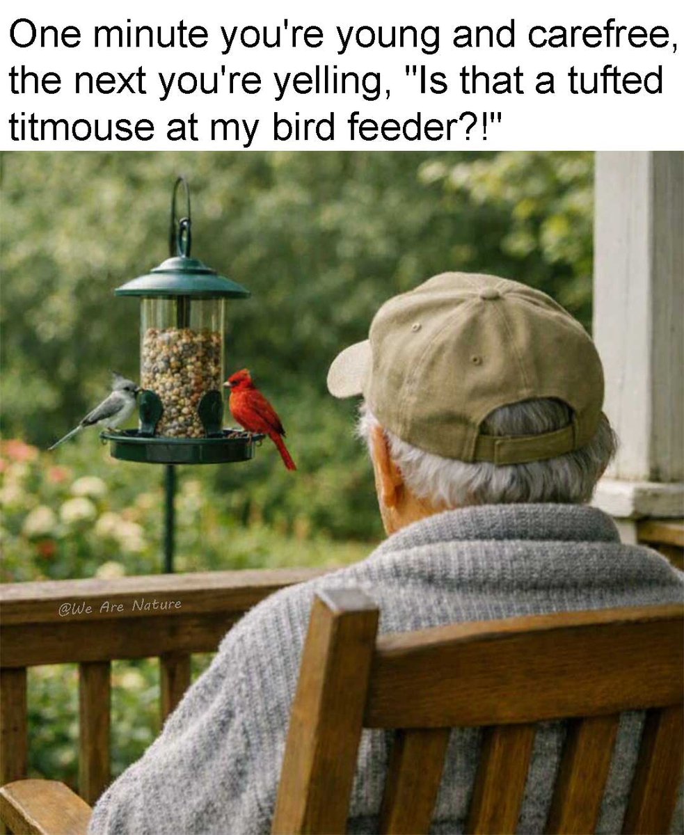 WeAreNatur3's tweet photo. The real sign of getting older. 😂
#meme #memes #naturememes #birdfeeder #birds #funny #funnymemes #old https://t.co/xBffvQl4yi