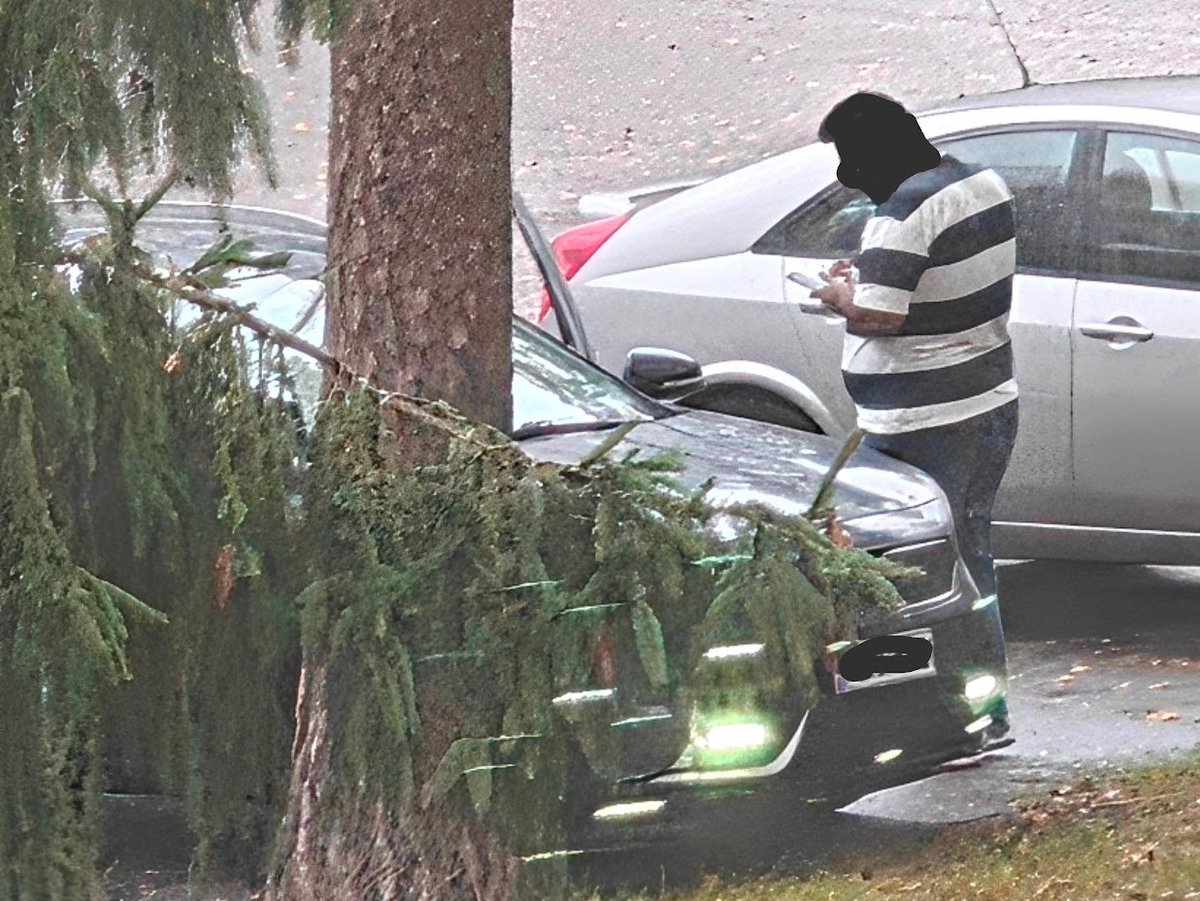 HarriLehtimaki's tweet photo. Bolt-Yöntimo pysähtyi pokkana meidän p-paikalle, naapurin parkkiruutuun ja vetää röökiä siinä. No ei siinä mitään, mutta ihmetyttää tuo sen asu. Raita t-paita ja farkut, sekä lenkkarit. Ei lisää kyllä uskottavuutta mitenkään. https://t.co/488LUPIBDF