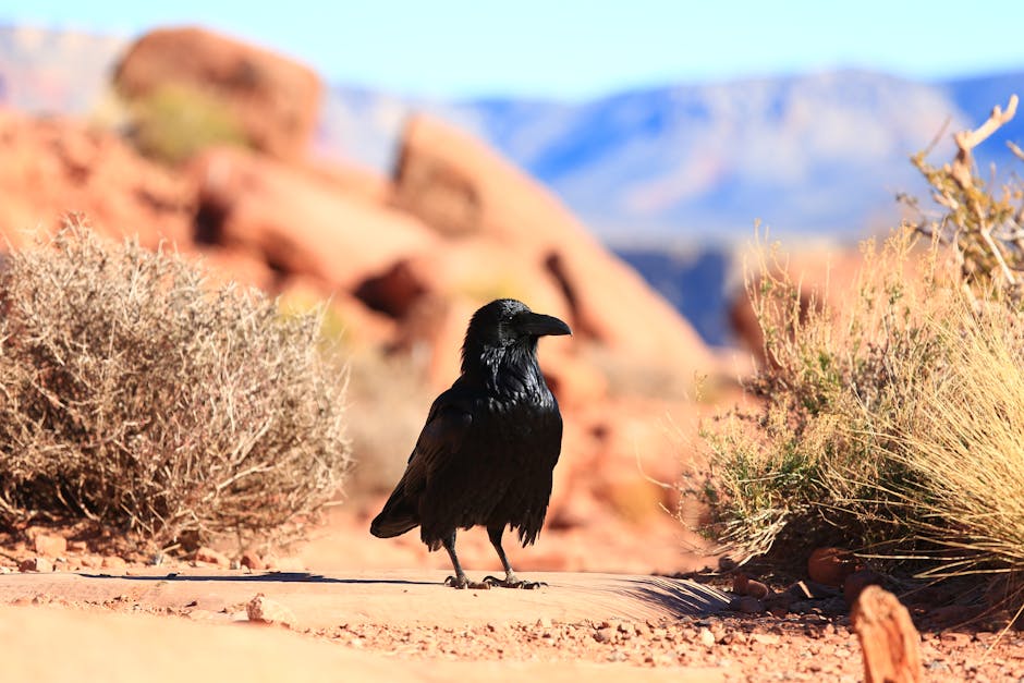 EdwardWrigiak0's tweet photo. خبرة المؤلف واضحة في كل فقرة. شكرا لتبديل من سروري البيرة! المحتوى الجيد. إنه دواعي kathline galindo https://t.co/yXy0VWTkfP