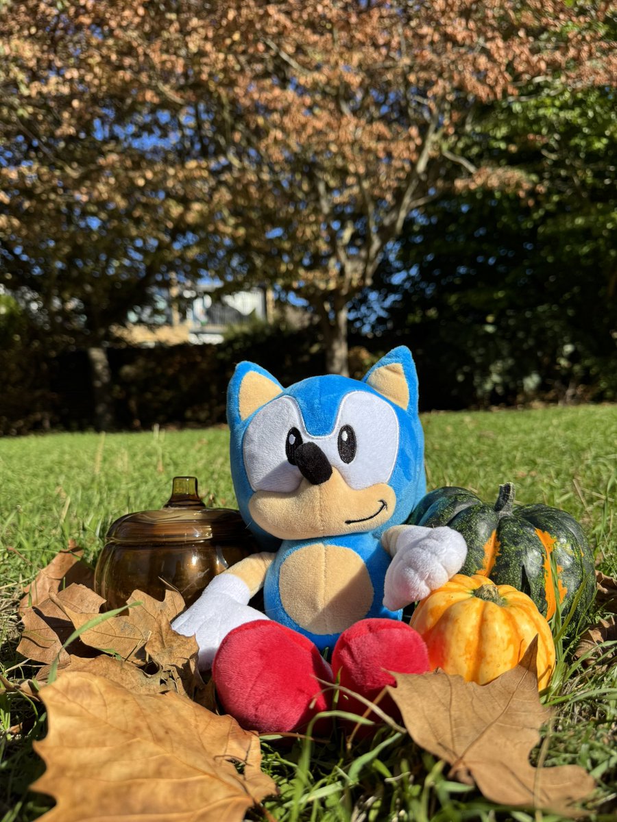 SEGA's tweet photo. Fallen leaves and pumpkins! 🍂 🍁 https://t.co/O96jfYYi5j