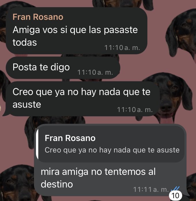 sirenadelparan4's tweet photo. esto define mi vida https://t.co/CzZzvUWLhl