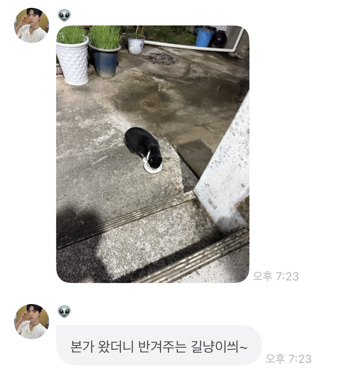 1OO1O857's tweet photo. 듀어어ㅓ… 마음따뜻해짐
길냥이라고 1년전에 사진 보냈을땐 밖에서 츄르먹더니 이젠 걍 배까고 드러눕고 집들어가서 티비봄 ㅠ https://t.co/qXtCiNoKft