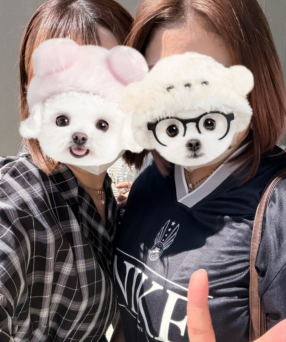 xx_t080's tweet photo. ユニフォーム買った報告出来たし、グッズも譲ってもらえたし、書きたくないって言ってたのに両面に書いてくれた大嘉くん> < ♡やさしい😼

今回もありがとうございます🫶🏻💙 https://t.co/owCqJkjucF