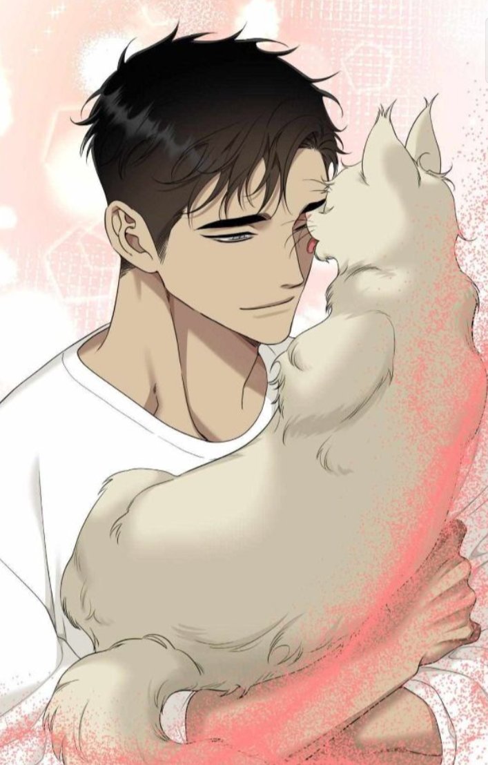 bookmarkbunny's tweet photo. eve the catㅤㅤㅤㅤ          eve the esperㅤ https://t.co/q3iiRIhVU1