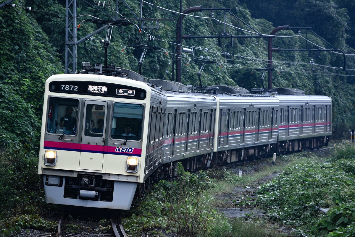 931_adhd's tweet photo. 7421f+7422f
ブツ4こん https://t.co/blklAHsYFz