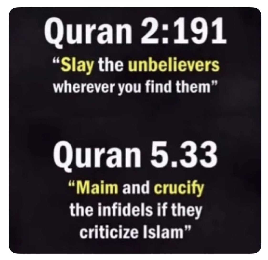 JanZelenak007's tweet photo. This atrocity has to be STOPPED in America for America to remain America foe all people living here. Those who are attempting to change America to barbaric society enclosed from the true America are THE ENEMIES with and it is our governments role within power the government possesses to remove them from USA, before this thread destroys lives as history shows other Christian countries that were overtaken by killings of local non-muslim people by the barbarians of their time. Nothing is different now. They “build up” till order is given to act, and millions became dead in forceful takeover of the local Christian leaders;