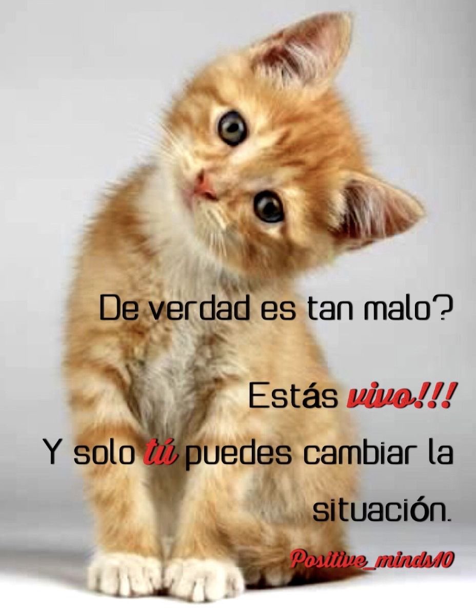coolfunnnn's tweet photo. buenos dias!!! https://t.co/7tEEBIvds6