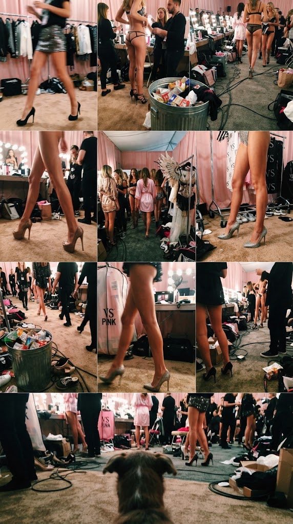 DebiaoYuWo's tweet photo. 狗狗视角 #ai https://t.co/SRQ9VHSMwf
