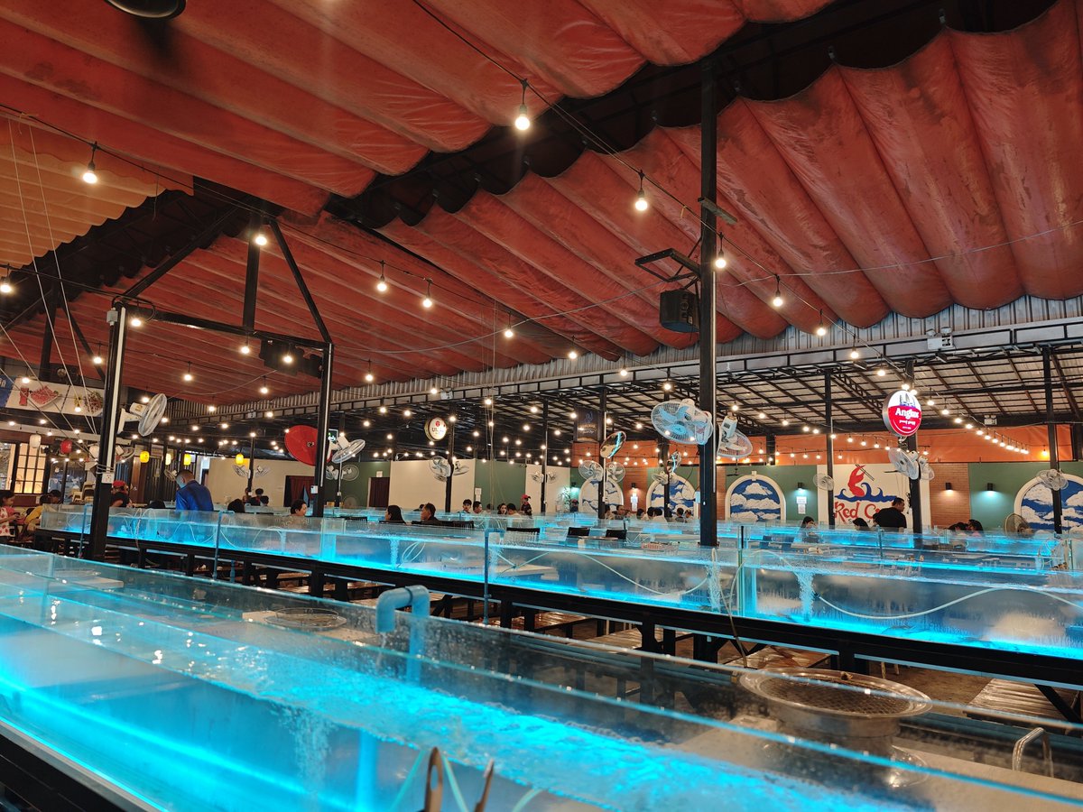 AhYaco5's tweet photo. នៅ Red Crab buffet  Siem Reap https://t.co/dbjBwGSlus