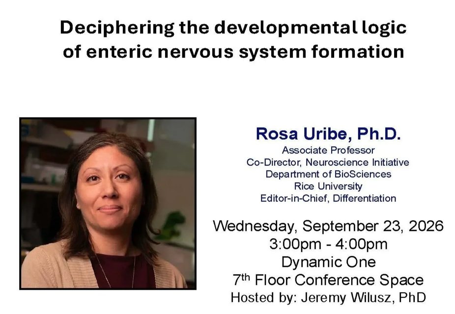 uribelabrice's tweet photo. I am excited to head to @bcmhouston today to deliver a seminar in the @thincbcm center.
Thank you to host @JeremyWilusz for the invitation, I am honored to speak about our ongoing work in #zebrafish #ENS neurobiology work! https://t.co/GrY4KPaPcY