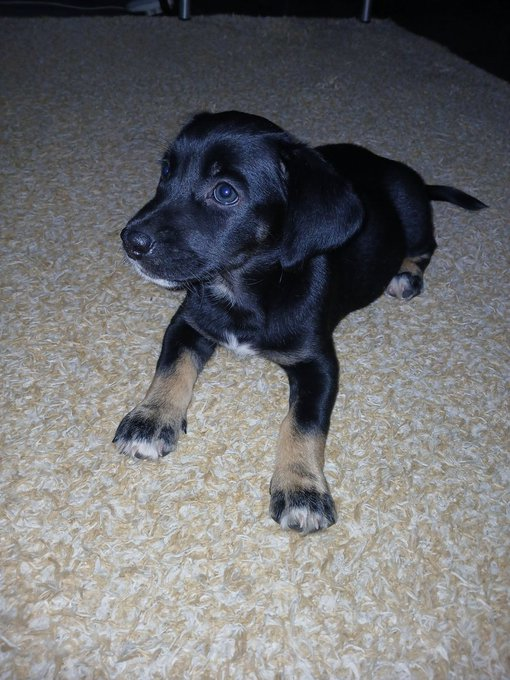 senshi_real's tweet photo. 7 ANOS DE AZAR PRA QUEM NÃO DER OI PRA LOLA https://t.co/oY4DryEC0R