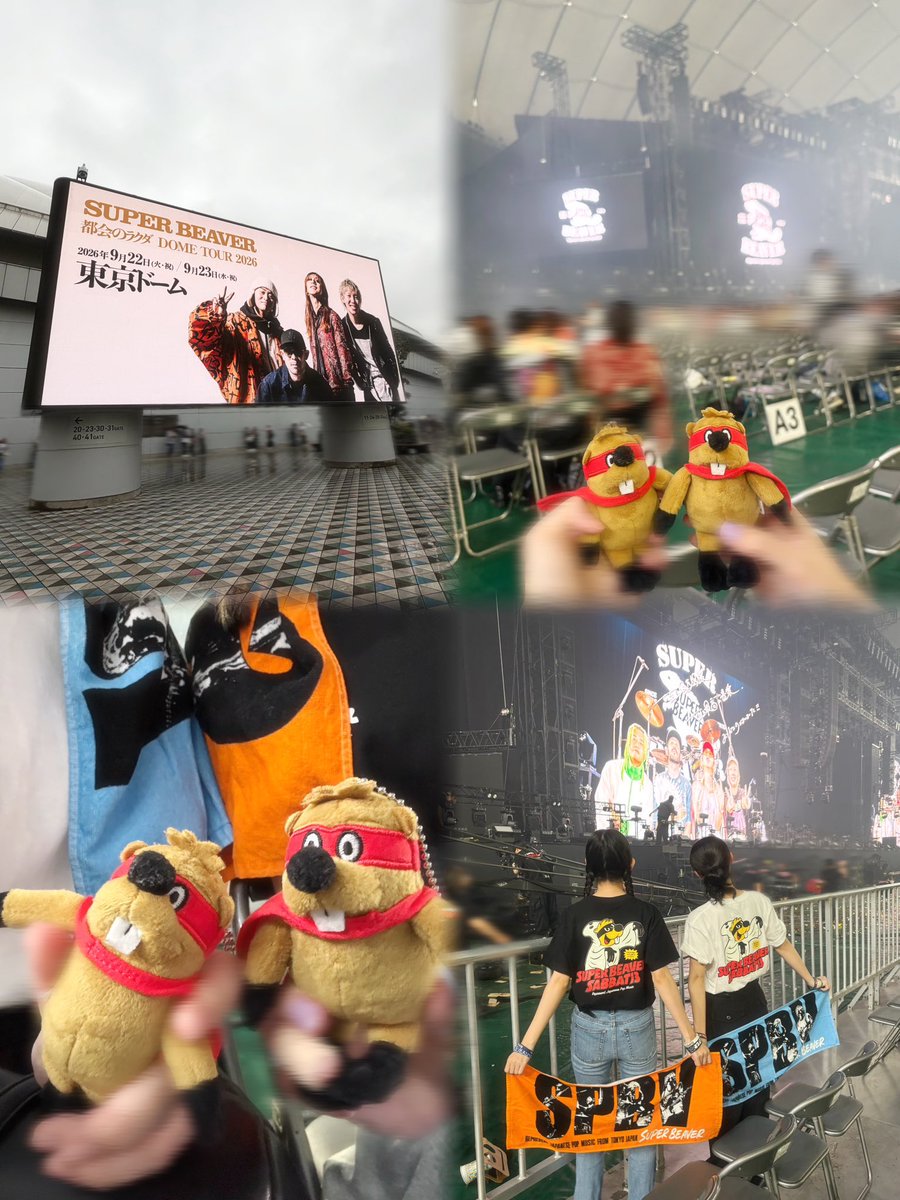 03spbv__'s tweet photo. 0923　東京ドーム✨

SUPER BEAVERが楽しそうだから私も楽しくて、いろんな言葉や曲に泣きそうになったり笑顔になったり本当に幸せだった😭顔ぐちゃぐちゃにして拳突き上げて声枯れるまで歌って、ライブハウスとやってることは何一つ変わらない！そんな2日間でした、大好きです本当にありがとう🦫 https://t.co/WGX8AiUVpf