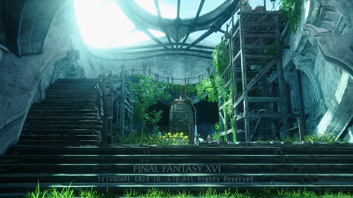 Ranunculus54's tweet photo. #FF16SS https://t.co/N2JM5fET66
