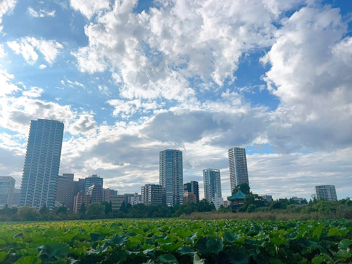 akiyo242's tweet photo. 昨日は久しぶりの☀️
汗ばむくらい暑かった💦

でも、氷川⛩行ったりTOGO行ったり
きめ活と色々散策できて、充実した
1日でした☺️ https://t.co/ffVT44DBZ7
