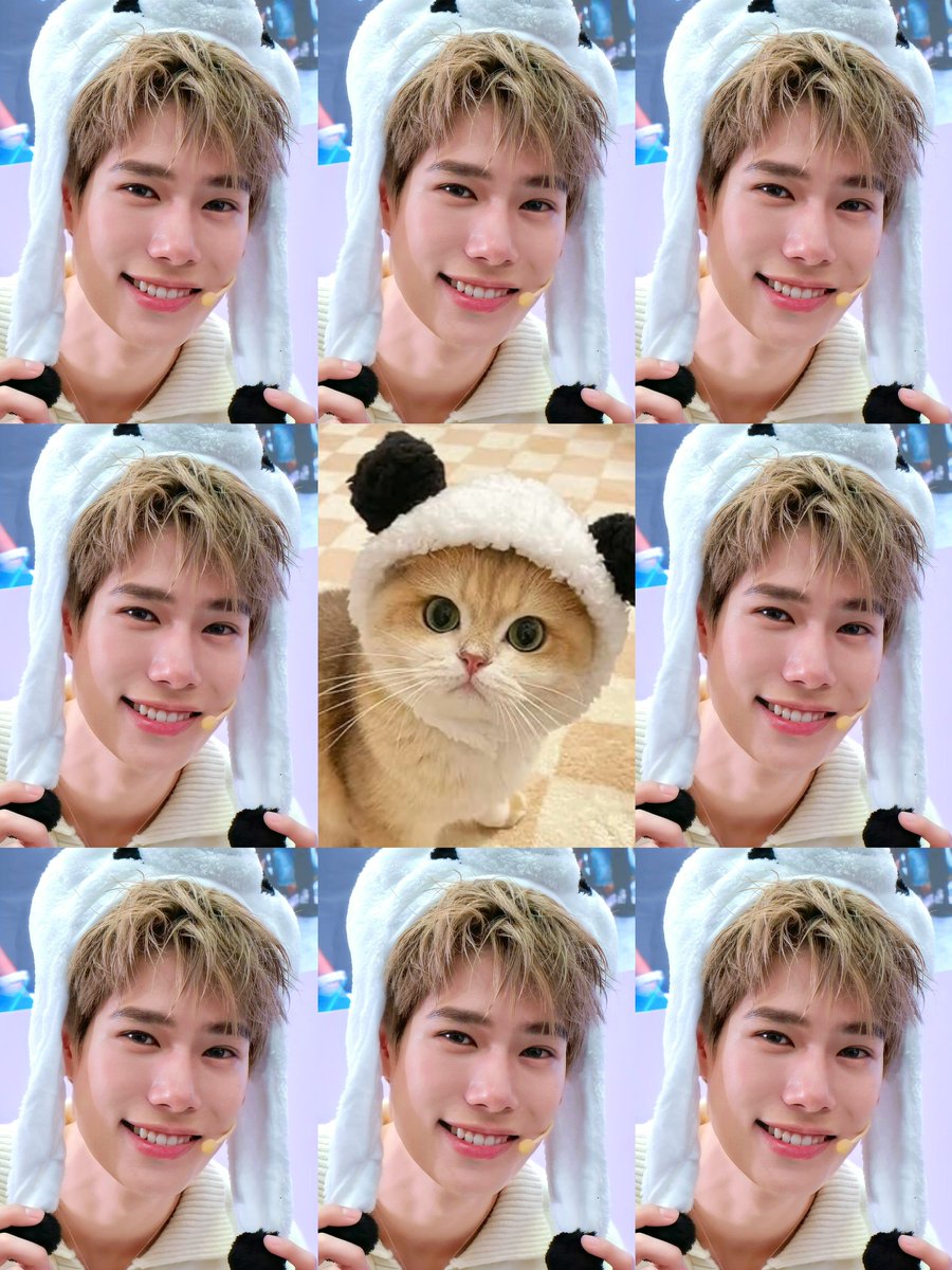 OH_duckyHUN's tweet photo. 🐈🤍🐈🤍🐈🤍🐈🤍🐈🤍🐈🤍🐈🤍🐈🤍🐈🤍 https://t.co/m0pZGpX294