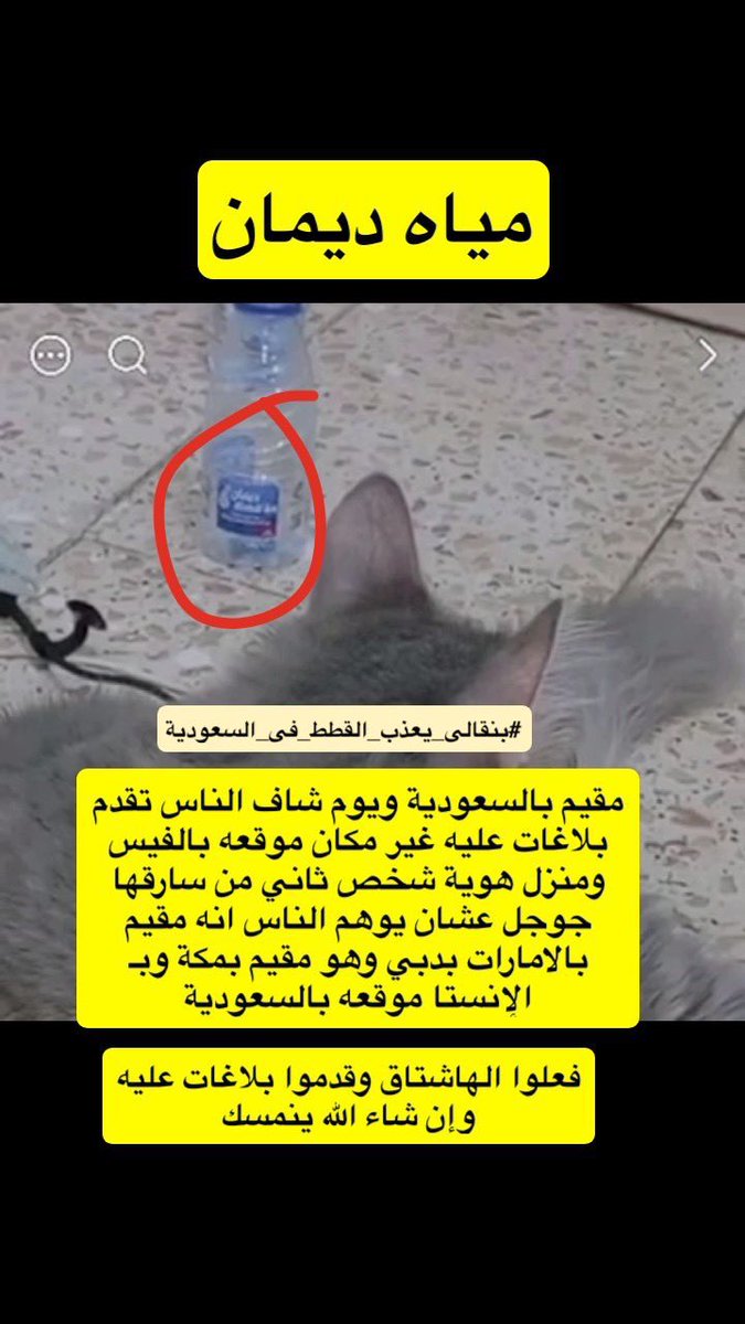 hotlillith's tweet photo. #بنقالي_يعذب_القطط_في_السعودية 
#بنقالي_يعذب_القطط_في_السعوديه
يعني المجرم غبي ومع ذلك ما انمسك؟؟؟ اذاً الموضوع فيه تكاسل وتقاعس مايسوون شىء بارادتهم⚠️⚠️⚠️
ارفعوا الهاشتاق ذا الشىء الوحيد اللي ممكن يحركهم https://t.co/kZRU6hilOc