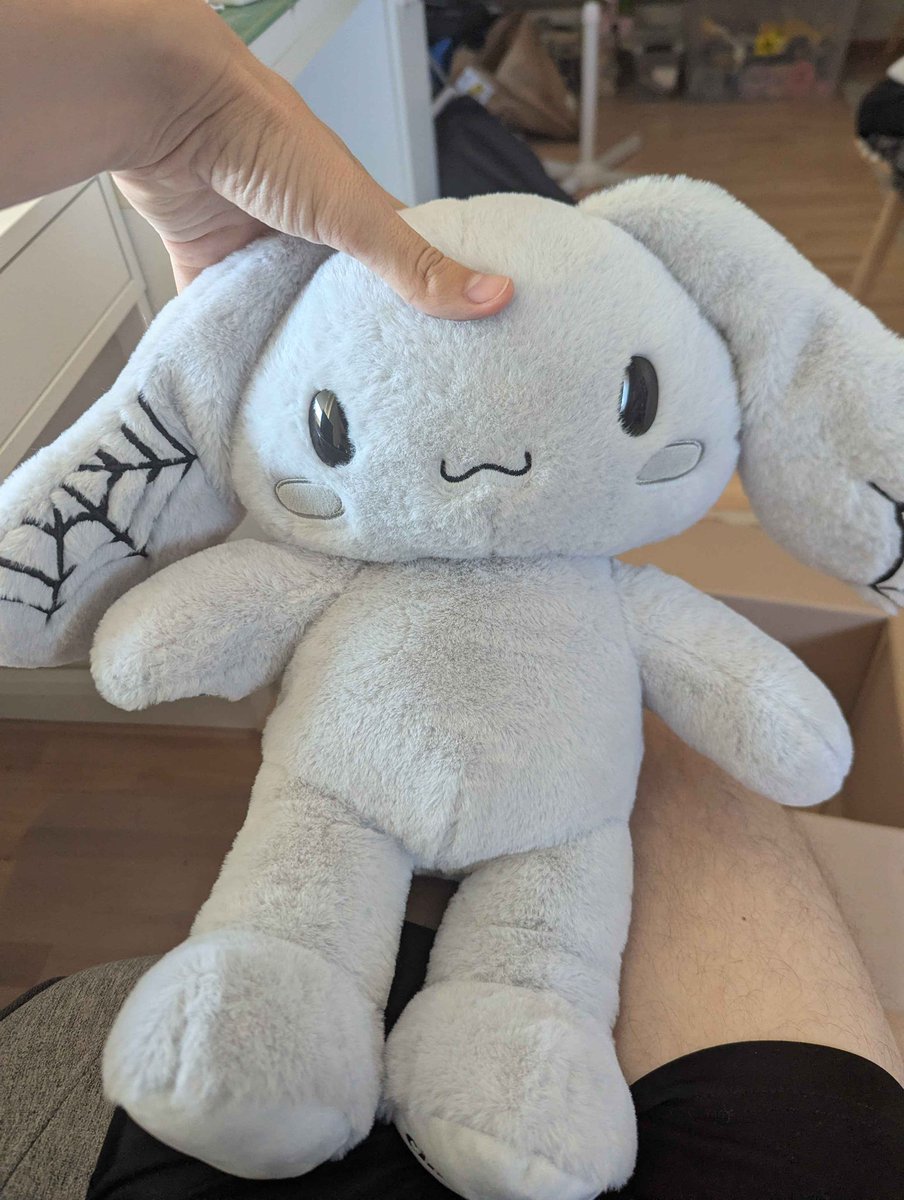 maidenchains's tweet photo. MY FRIEND GOT ME THE SPOOKY CINNAMOROLL I NEED IT SHIPPED TO MY HOUSE NOW!!!!!!! https://t.co/OOLb1CvpJY